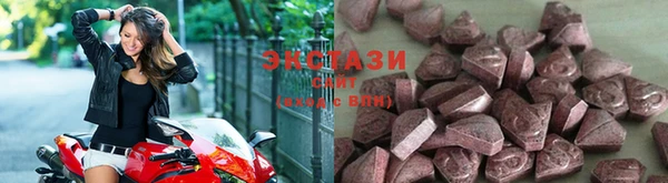 шишки Верея