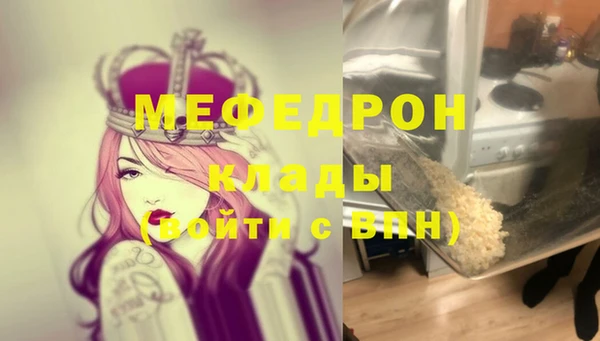 шишки Верея