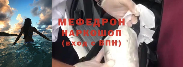 шишки Верея