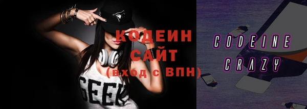 шишки Верея