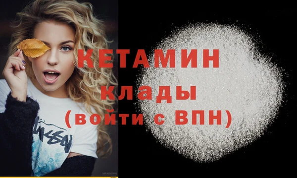 шишки Верея