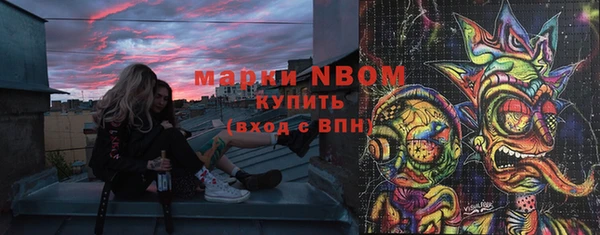 шишки Верея