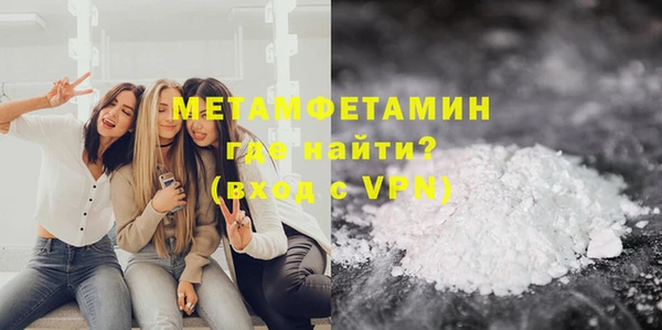 шишки Верея