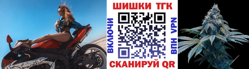 Купить закладки  Волхов  Шишки марихуана THC 21% 